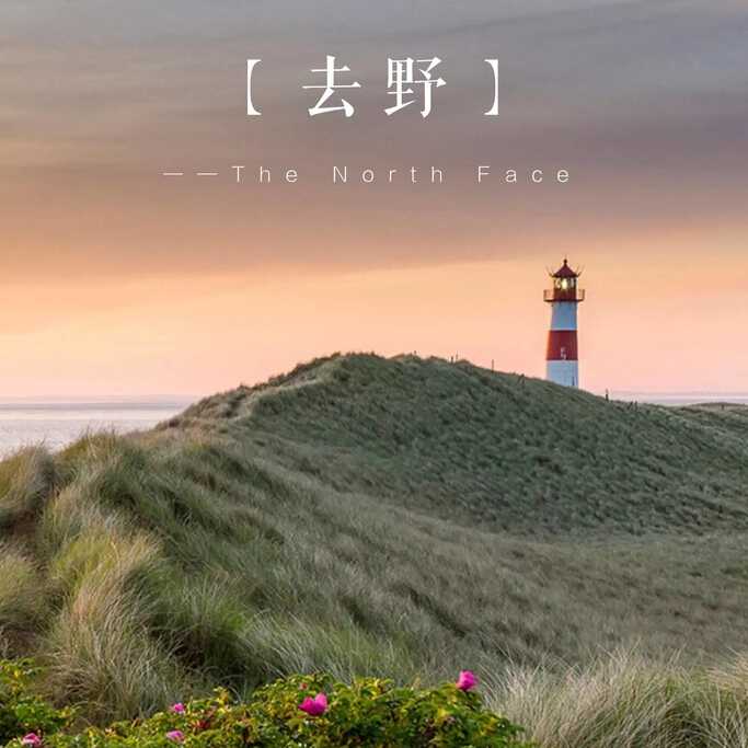 高鐵廣告上這畫面，簡直美美噠!