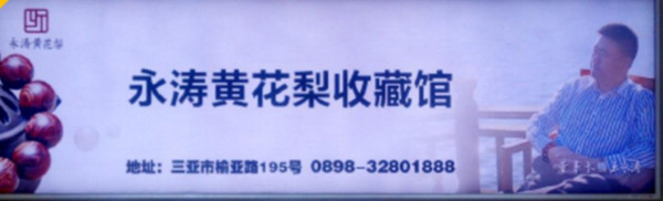 三亞鳳凰機(jī)場(chǎng)廣告