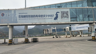 張家界荷花機(jī)場(chǎng)外廊橋貼畫廣告