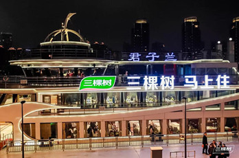 地標(biāo)廣告聯(lián)動(dòng)游輪廣告，三棵樹(shù)品牌驚爆上海外灘!