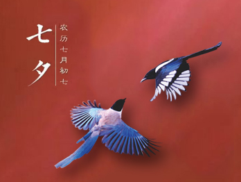 七夕節(jié)，你秀恩愛了嗎?