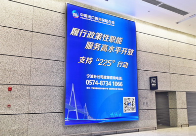 寧波機(jī)場(chǎng)國(guó)內(nèi)迎客廳右側(cè)燈箱廣告案例圖