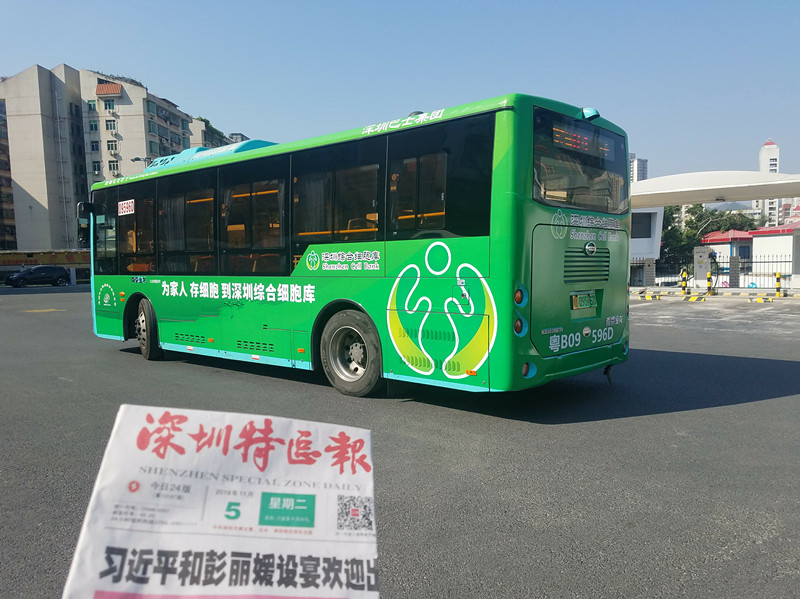 深圳綜合細(xì)胞庫(kù)深圳公交車廣告