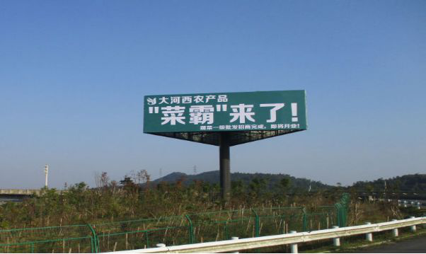 菜霸廣告爭議 菜霸廣告爭議