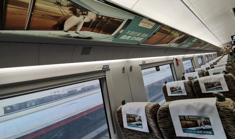 森鷹高鐵列車(chē)行李架廣告