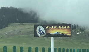 新疆高速立柱大牌廣告案例，烏魯木齊高速廣告酒類廣告案例