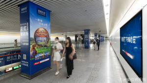 上海地鐵花木路站廣告價(jià)格多少錢？上海地鐵會(huì)展廣告案例亞寵展