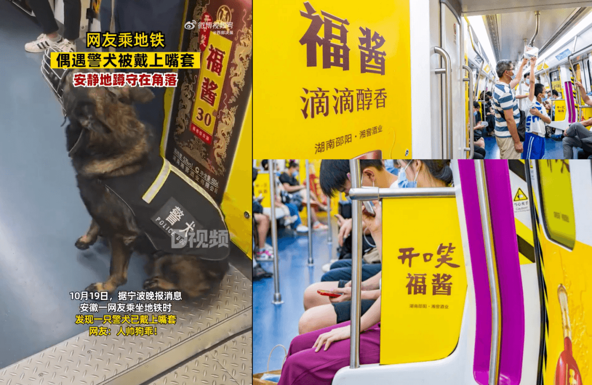 長沙地鐵廣告價格多少錢？長沙地鐵列車內(nèi)包車廣告全線覆蓋酒案例