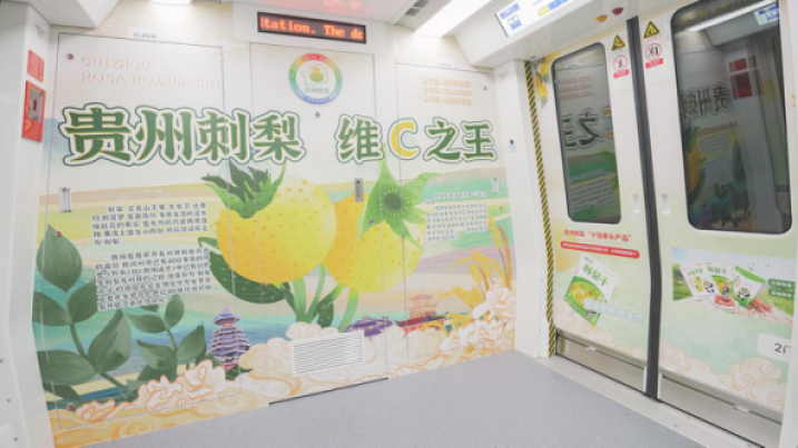 貴陽地鐵廣告特產(chǎn)案例圖，貴陽地鐵廣告內(nèi)包車廣告價格多少錢？