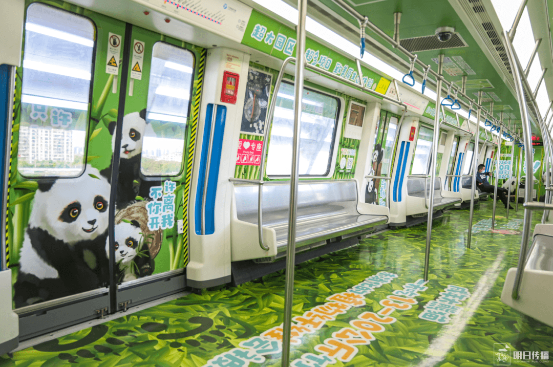 寧波地鐵車廂廣告價格多少錢？寧波地鐵廣告經(jīng)典全包車案例動物園
